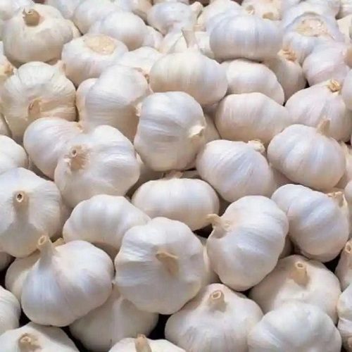 china garlic (5)